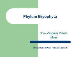 Phylum Bryophyta - Miss Stanley Cyber Classroom