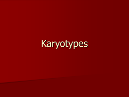 Karyotypes - Chariho Regional School District