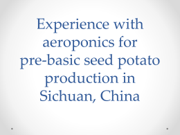 Experience with aeroponics for pre
