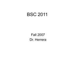 BSC 2011 - University of Florida