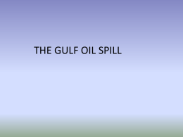 Gulf oil spill’s affect on water quality and wildlife