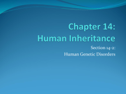 Chapter 14: Human Inheritance