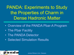 PANDA: An Experiment to - Uniwersytet Warszawski