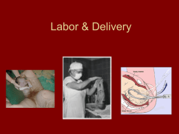 Labor & Delivery - FamilyConsumerSciences.com