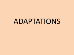 Adaptations - Home - Hornedo Middle School