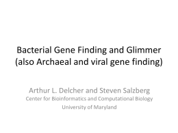 Bacterial-gene-finding-intro