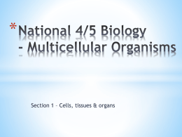 National 4/5 Biology - Multicelluar Organisms