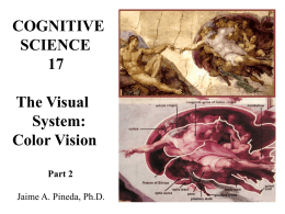 How Do We See: Part 2 - Department of Cognitive Science