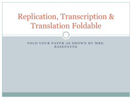 Transcription & Translation Foldable