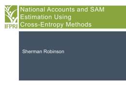 SAM Estimation Using Maximum Entropy Methods