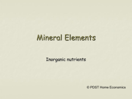 Mineral Elements