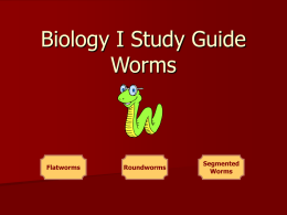 Biology I Study Guide Worms