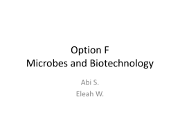 Option F Microbes and Biotechnology