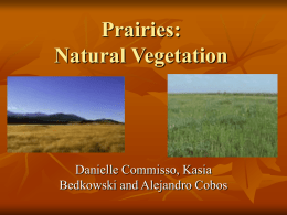 PowerPoint Presentation - Prairies: Natural Vegetation