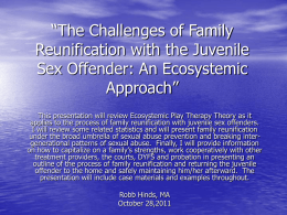 The Challenges of Family Reunification with the Juvenile