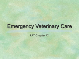 Emergency Veterinary Care - AZ Branch AALAS Homepage