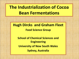 The Industrialization of Cocoa Bean Fermentations