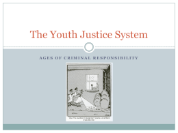 The Youth Justice System