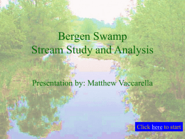 Bergen Swamp Analysis