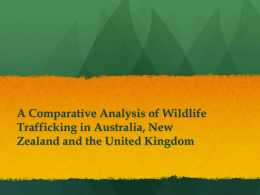 A Comparative Analysis of Wildlife Trafficking in