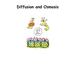 Diffusion and Osmosis - Teaching Biology and Science Blog