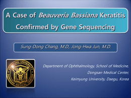 A Case of Beauveria Bassiana Keratitis Confirmed by Gene