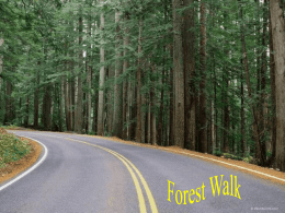 PowerPoint - Walk through the Forest