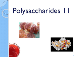 Polysaccharides - Food Science & Human Nutrition