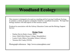 1.4.6 Woodland - Flora and Fauna