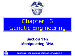 13-2 Manipulating DNA - Pleasanton Unified School District