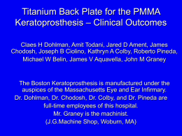 Titanium Back Plate for the PMMA Keratoprosthesis