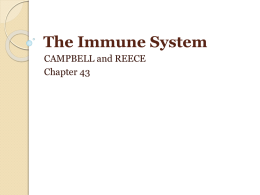 The Immune System - Anderson School District One