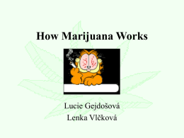 How Marijuana Works