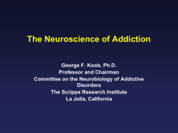 Neurobiology of Drug Addiction: A Dysregulated