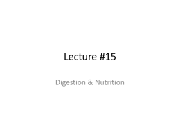 Lecture