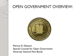 PUBLIC RECORDS OVERVIEW: - Florida Attorney General