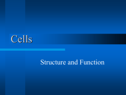 Cells PowerPoint