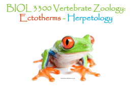 BIOL 3300 Vertebrate Zoology: Ectotherms
