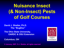 Golf Course Nuisance Pests - The Ohio State University