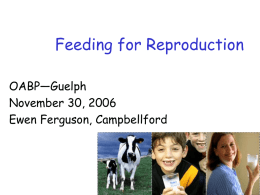 Feeding for Reproduction