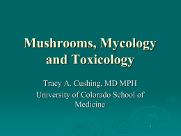 Mushrooms, Mycology and Toxicology