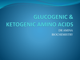 GLUCOGENIC & KETOGENIC AMINO ACIDS