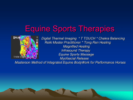 Equine Energy Therapies Digital Thermal Imaging * BioSonic