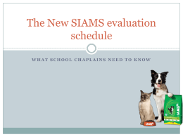 The New SIMAS evaluation schedule