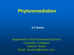 Phytoremediation - Home: Envis centre on Environmental