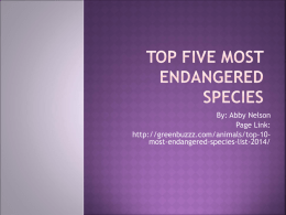 Top Ten Most Endangered Species
