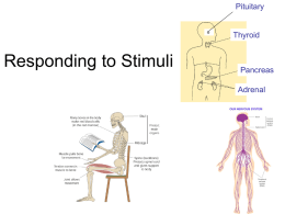 Biology 3.5 Responding to Stimuli