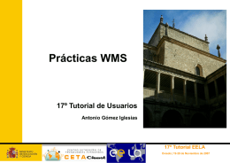 WMS-Practicas