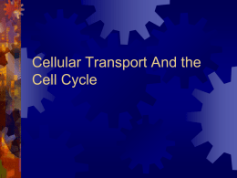 Cellular Transport - Grant County High School