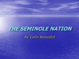 The Seminole nation
